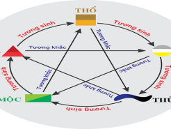 Tổng quan các mối quan hệ trong phong thủy về môi trường, ngũ hành, đời sống và con người