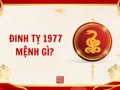 Nam mạng, Nữ mạng tuổi Đinh Tỵ 1977 mệnh gì, tuổi gì, hợp màu gì?