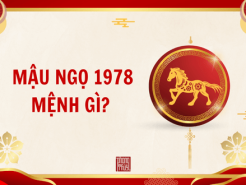 Nam mạng, Nữ mạng tuổi Mậu Ngọ 1978 mệnh gì, tuổi gì, hợp màu gì?