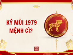 Nam mạng, Nữ mạng tuổi Kỷ Mùi 1979 mệnh gì, tuổi gì, hợp màu gì?