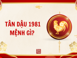 Nam mạng, Nữ mạng tuổi Tân Dậu 1981 mệnh gì, tuổi gì, hợp màu gì?