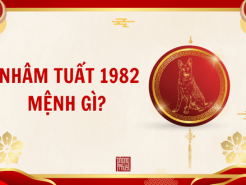 Nam mạng, Nữ mạng tuổi Nhâm Tuất 1982 mệnh gì, tuổi gì, hợp màu gì?