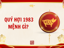 Nam mạng, Nữ mạng tuổi Quý Hợi 1983 mệnh gì, tuổi gì, hợp màu gì?