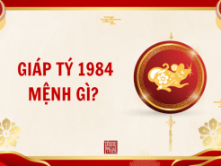 Nam mạng, Nữ mạng tuổi Giáp Tý 1984 mệnh gì, tuổi gì, hợp màu gì?