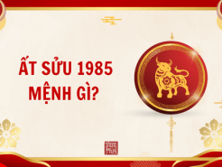 Nam mạng, Nữ mạng tuổi Ất Sửu 1985 mệnh gì, tuổi gì, hợp màu gì?