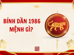 Nam mạng, Nữ mạng tuổi Bính Dần 1986 mệnh gì, tuổi gì, hợp màu gì?