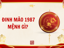 Nam mạng, Nữ mạng tuổi Đinh Mão 1987 mệnh gì, tuổi gì, hợp màu gì?