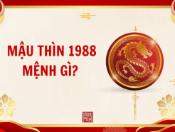 Nam mạng, Nữ mạng tuổi Mậu Thìn 1988 mệnh gì, tuổi gì, hợp màu gì?