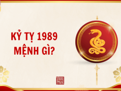 Nam mạng, Nữ mạng tuổi Kỷ Tỵ 1989 mệnh gì, tuổi gì, hợp màu gì?