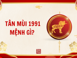 Nam mạng, Nữ mạng tuổi Tân Mùi 1991 mệnh gì, tuổi gì, hợp màu gì?