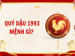 Nam mạng, Nữ mạng tuổi Quý Dậu 1993 mệnh gì, tuổi gì, hợp màu gì?