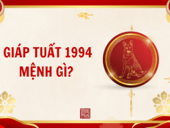 Nam mạng, Nữ mạng tuổi Giáp Tuất 1994 mệnh gì, tuổi gì, hợp màu gì?