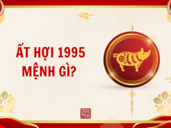 Nam mạng, Nữ mạng tuổi Ất Hợi 1995 mệnh gì, tuổi gì, hợp màu gì?