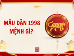 Nam mạng, Nữ mạng tuổi Mậu Dần 1998 mệnh gì, tuổi gì, hợp màu gì?