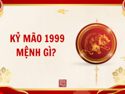 Nam mạng, Nữ mạng tuổi Kỷ Mão 1999 mệnh gì, tuổi gì, hợp màu gì?