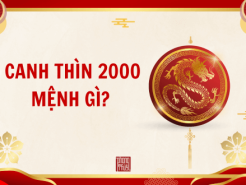 Nam mạng, nữ mạng tuổi Canh Thìn 2000 mệnh gì, tuổi gì, hợp màu gì?