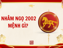 Nam mạng, Nữ mạng tuổi Nhâm Ngọ 2002 mệnh gì, tuổi gì, hợp màu gì?