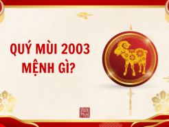 Nam mạng, nữ mạng tuổi Quý Mùi 2003 mệnh gì, tuổi gì, hợp màu gì?