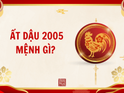 Nam mạng, Nữ mạng tuổi Ất Dậu 2005 mệnh gì, tuổi gì, hợp màu gì?