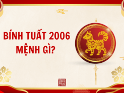 Nam mạng, Nữ mạng tuổi Bính Tuất 2006 mệnh gì, tuổi gì, hợp màu gì?