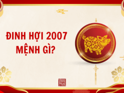 Nam mạng, Nữ mạng tuổi Đinh Hợi 2007 mệnh gì, tuổi gì, hợp màu gì?