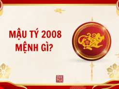 Nam mạng, Nữ mạng tuổi Mậu Tý 2008 mệnh gì, tuổi gì, hợp màu gì?