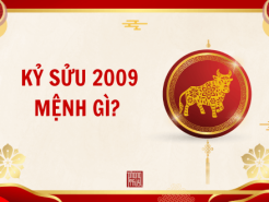 Nam mạng, Nữ mạng tuổi Kỷ Sửu 2009 mệnh gì, tuổi gì, hợp màu gì?