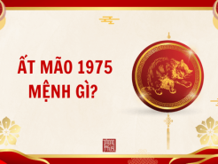 Nam mạng, Nữ mạng tuổi Ất Mão 1975 mệnh gì, hợp màu gì?